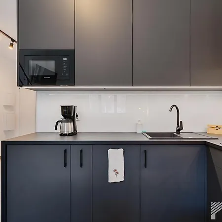 Appartamento Fuzja Graphite Loft By Lookap *