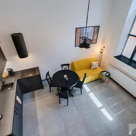 Fuzja Graphite Loft By Lookap Appartamento