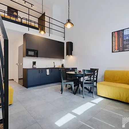 Fuzja Graphite Loft By Lookap Appartamento